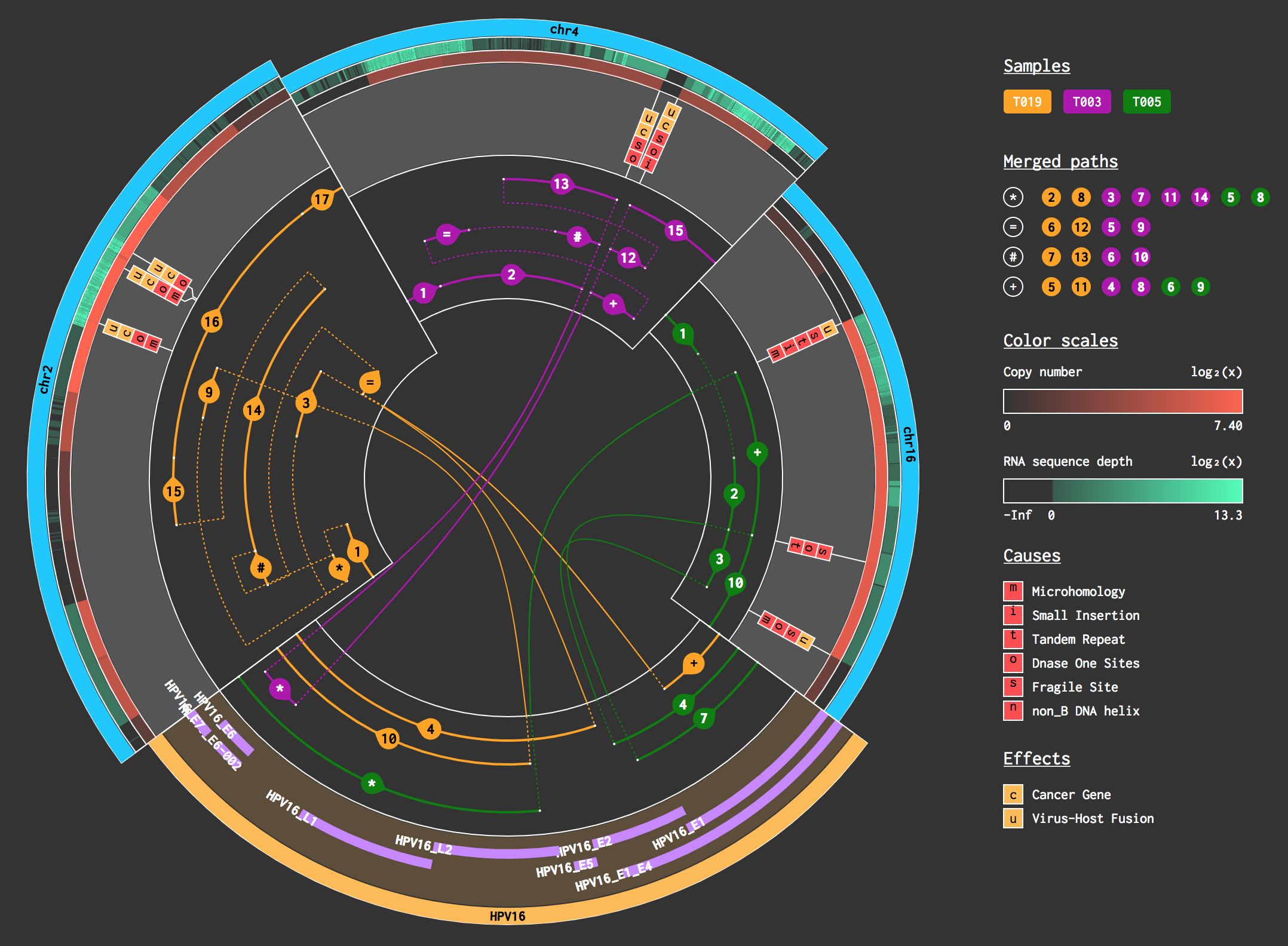Biomedical Data Analysis